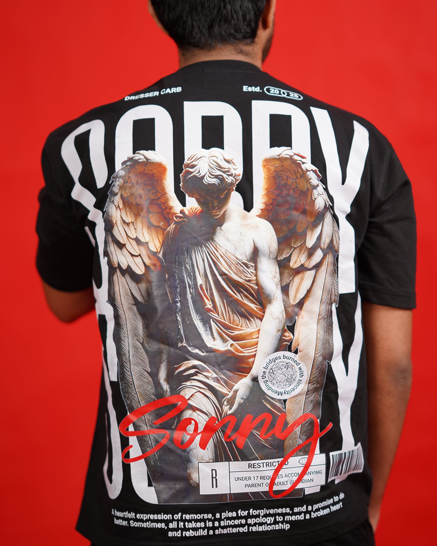 SORRY: Broken Wings, Open Heart